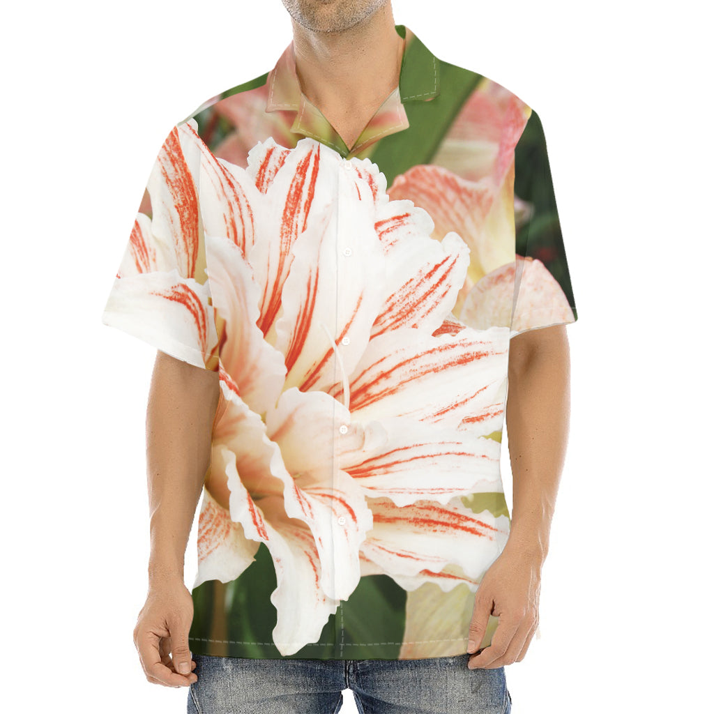 White And Pink Amaryllis Print Aloha Shirt