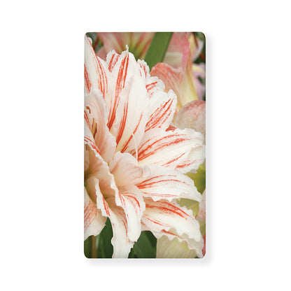 White And Pink Amaryllis Print Baby Crib Sheet