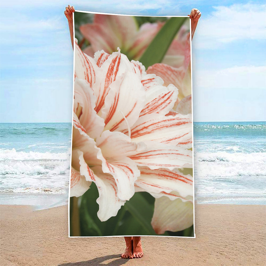 White And Pink Amaryllis Print Beach Towel