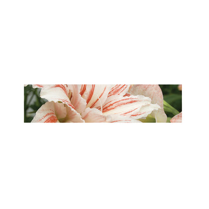 White And Pink Amaryllis Print Bed Runner