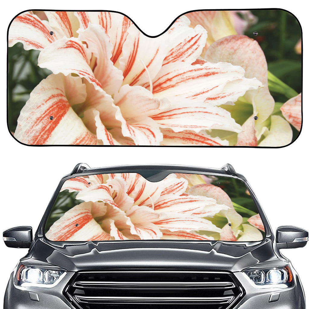 White And Pink Amaryllis Print Car Windshield Sun Shade