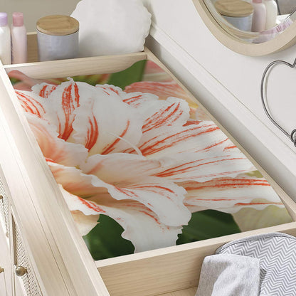 White And Pink Amaryllis Print Changing Pad Cover