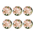 White And Pink Amaryllis Print Coaster Set