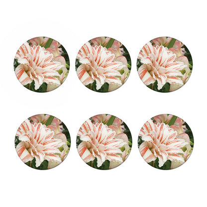 White And Pink Amaryllis Print Coaster Set