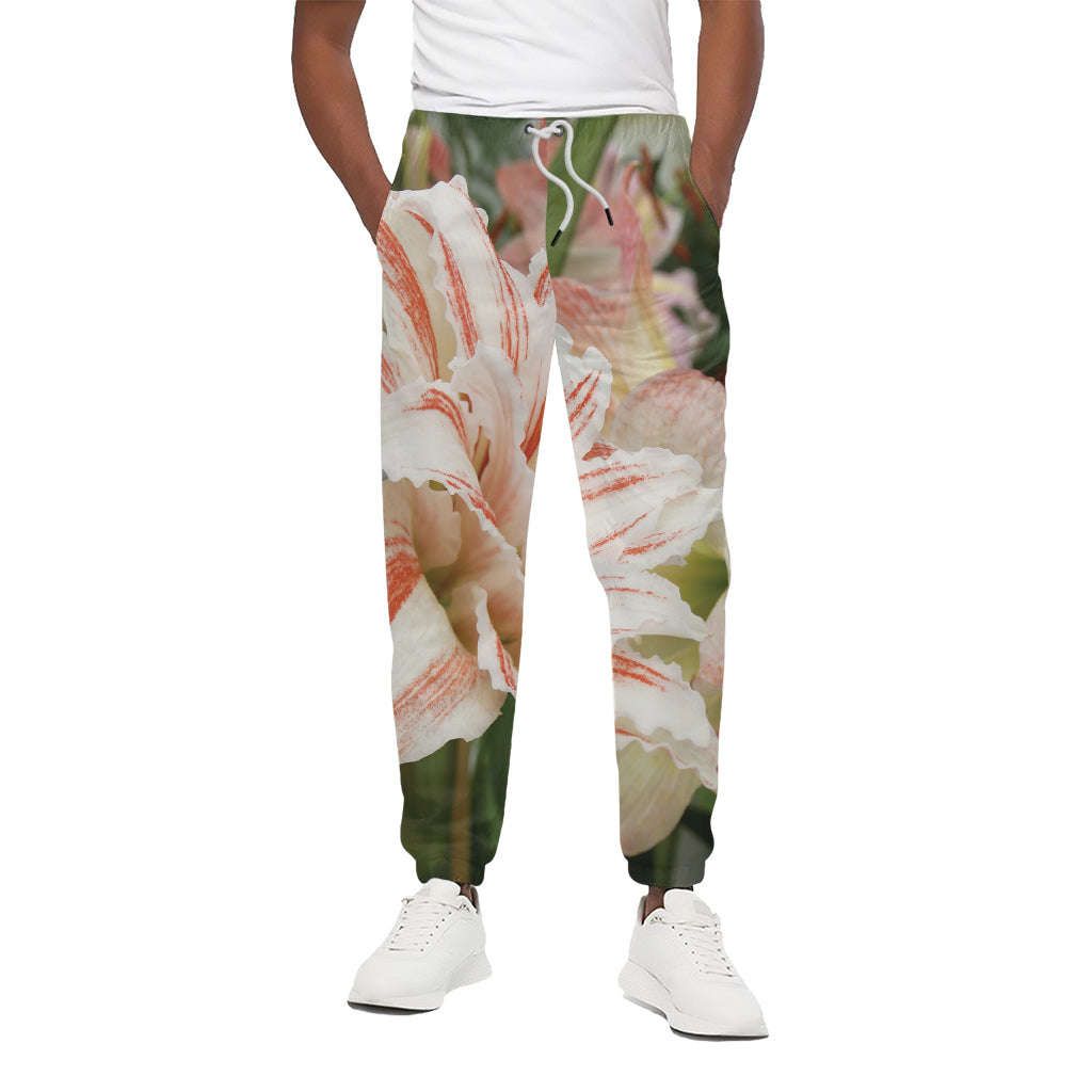 White And Pink Amaryllis Print Cotton Pants