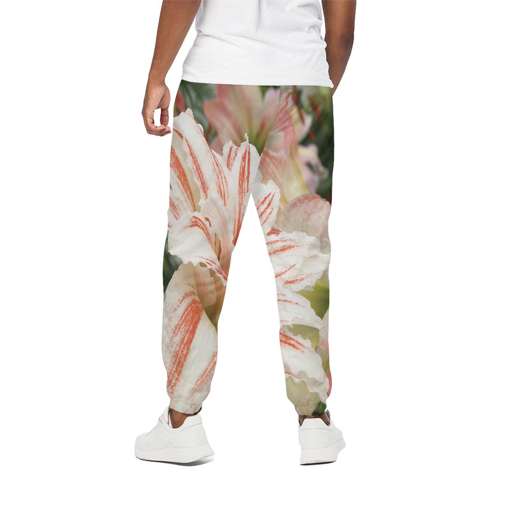 White And Pink Amaryllis Print Cotton Pants