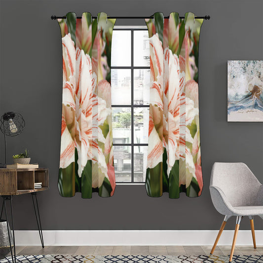 White And Pink Amaryllis Print Curtain