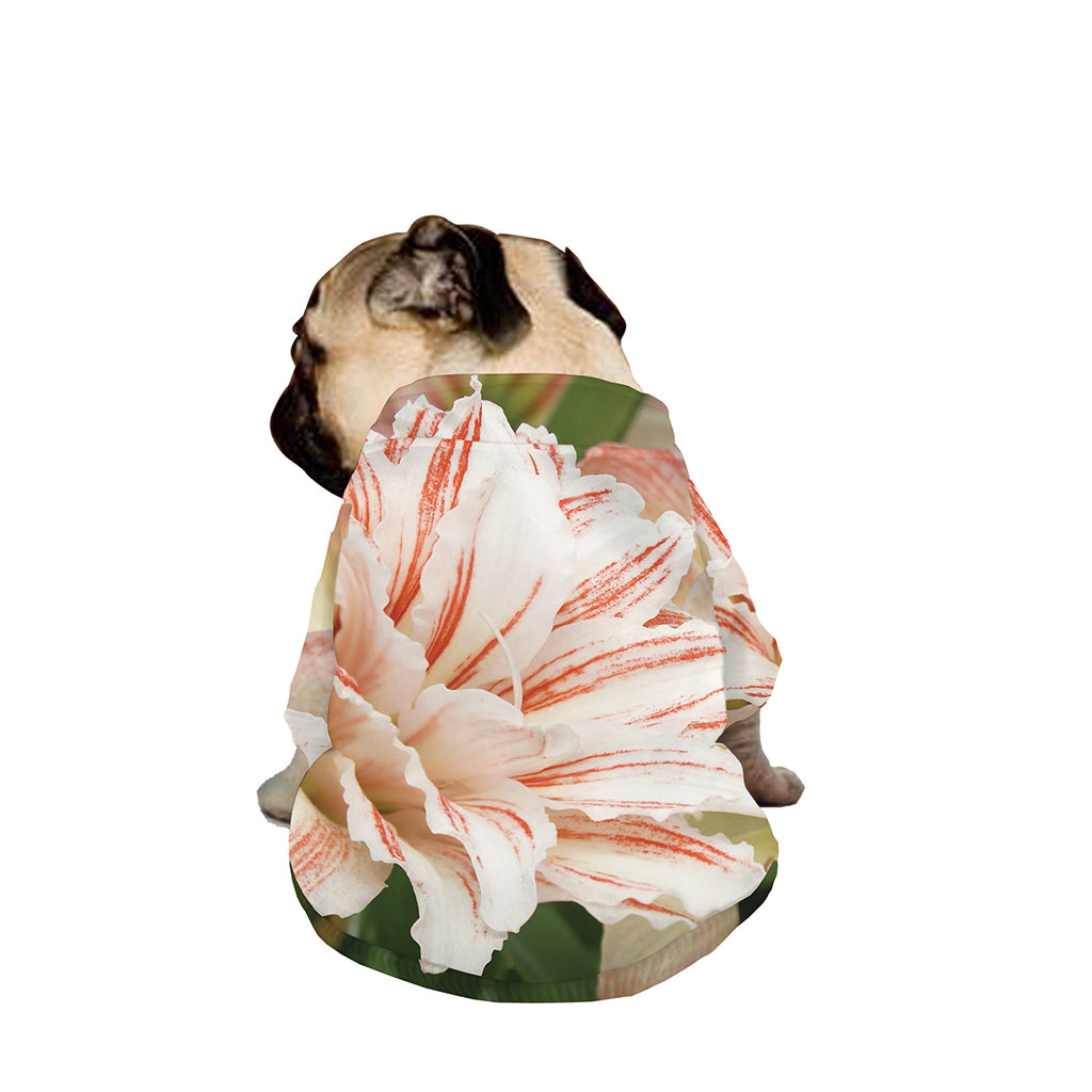White And Pink Amaryllis Print Dog Zip Up Jacket