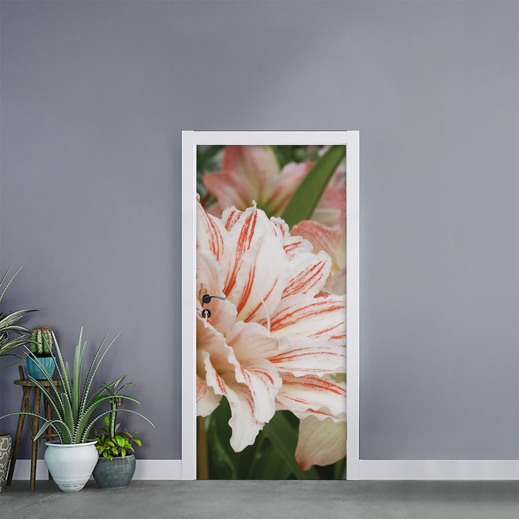 White And Pink Amaryllis Print Door Sticker