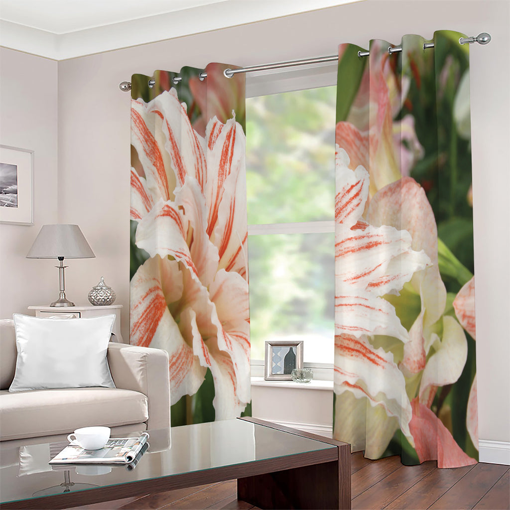 White And Pink Amaryllis Print Extra Wide Grommet Curtains