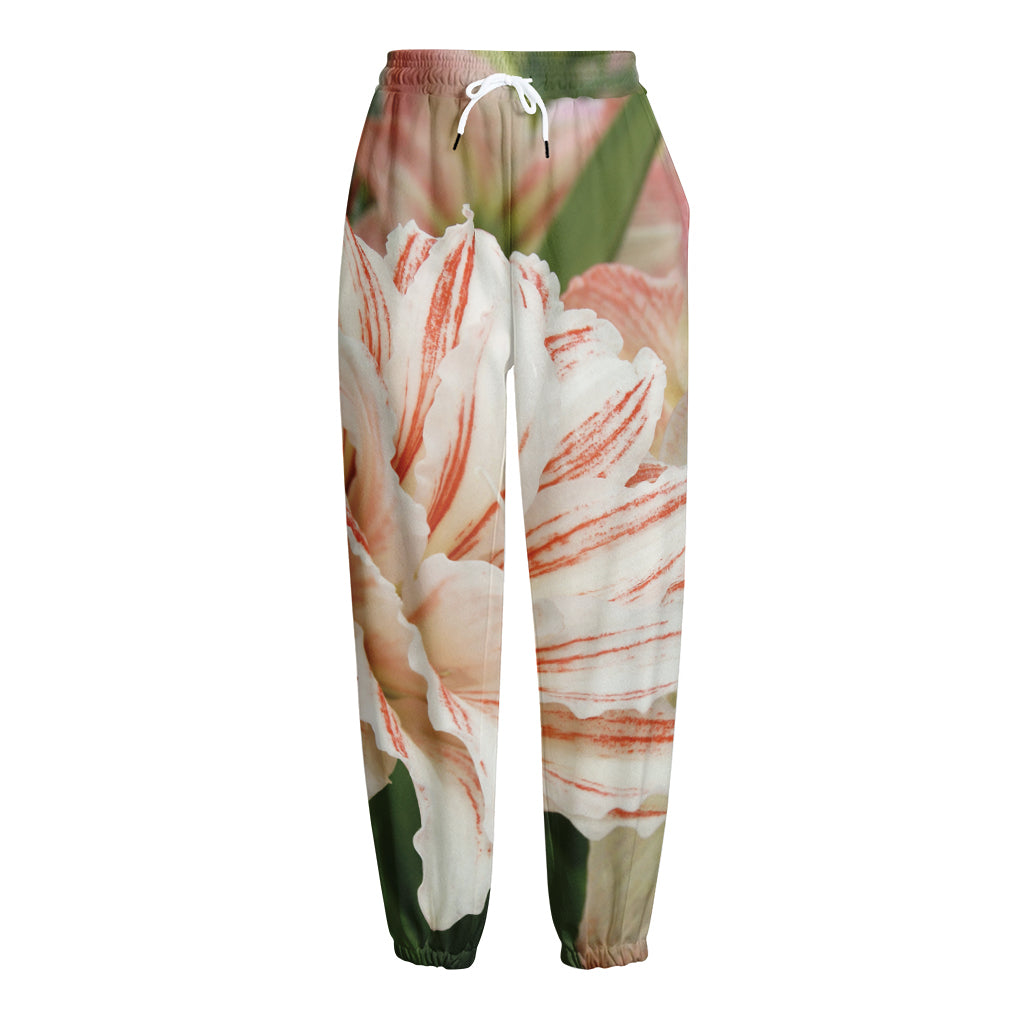 White And Pink Amaryllis Print Fleece Lined Knit Pants