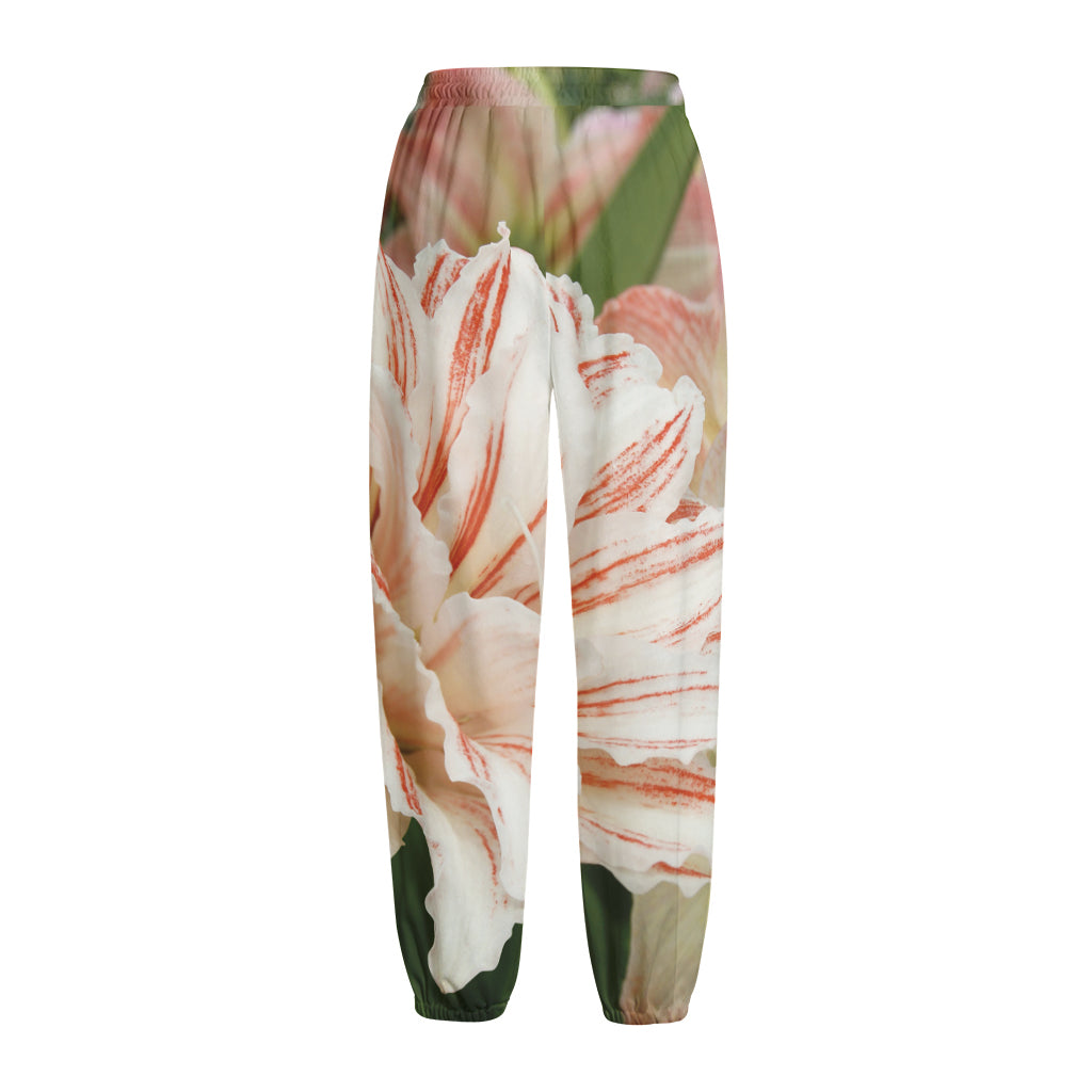 White And Pink Amaryllis Print Fleece Lined Knit Pants