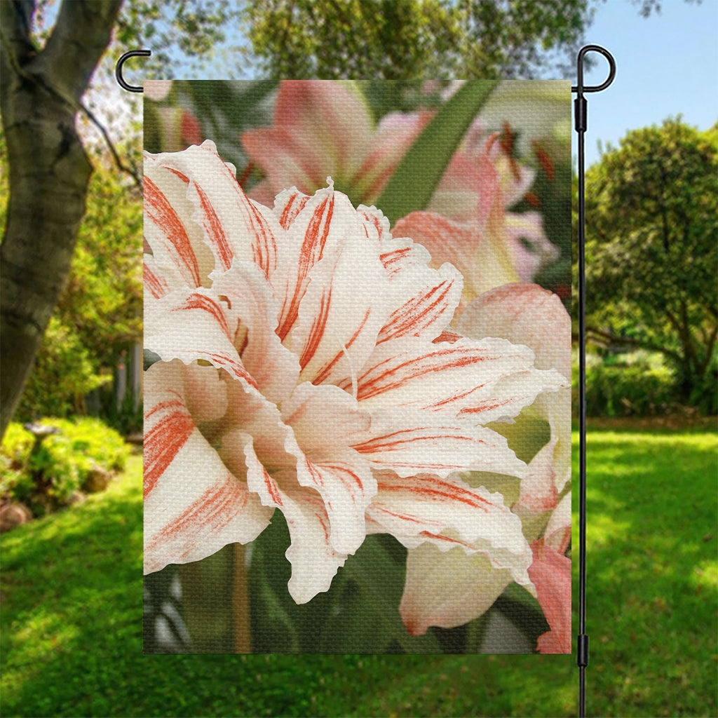 White And Pink Amaryllis Print Garden Flag