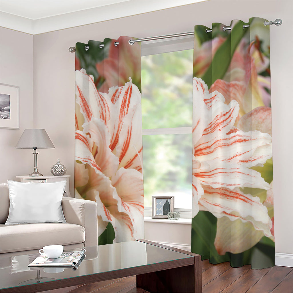 White And Pink Amaryllis Print Grommet Curtains