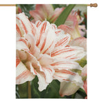White And Pink Amaryllis Print House Flag