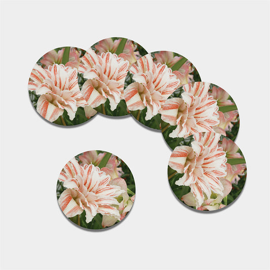 White And Pink Amaryllis Print Leather Coaster Set