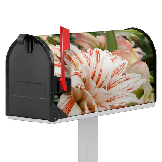 White And Pink Amaryllis Print Mailbox Cover