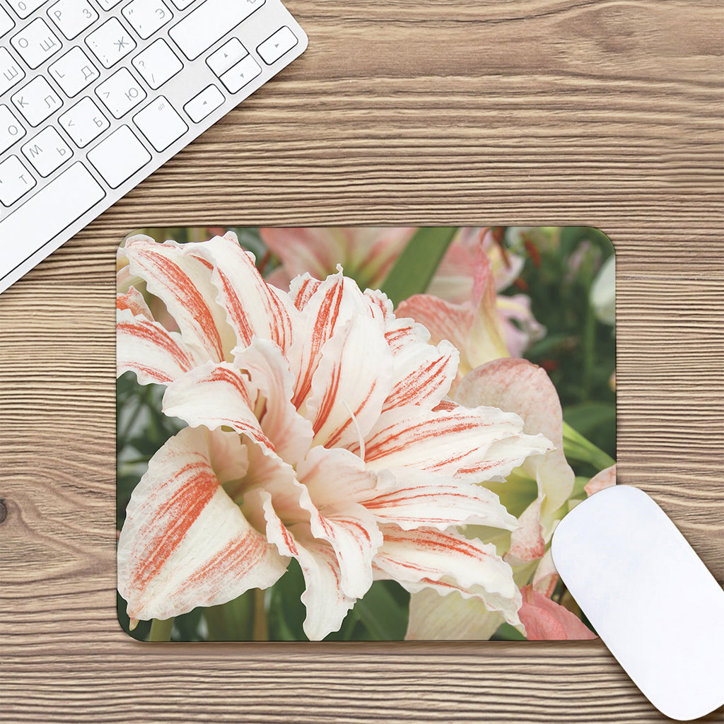 White And Pink Amaryllis Print Mouse Pad