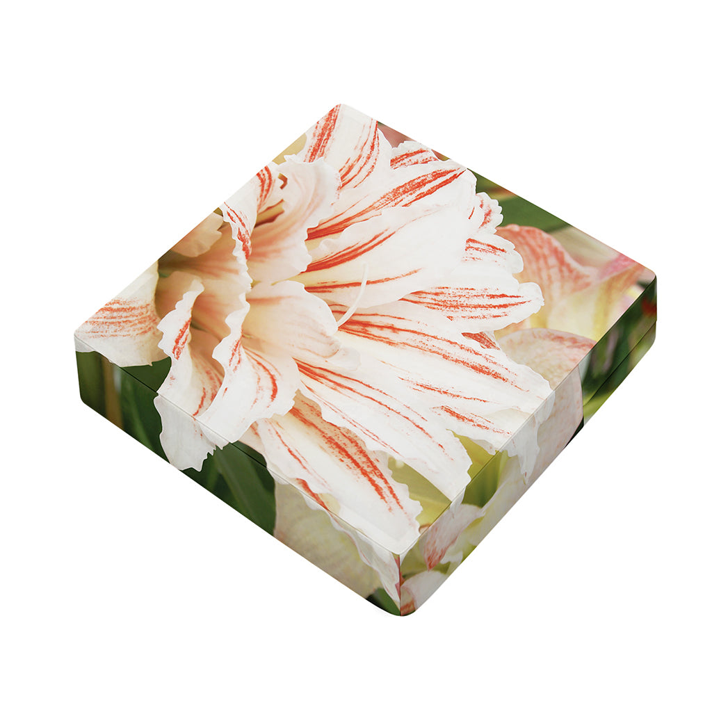 White And Pink Amaryllis Print Outdoor Seat Cushion Cover