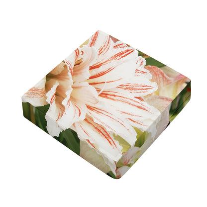 White And Pink Amaryllis Print Outdoor Seat Cushion Cover