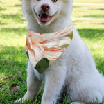 White And Pink Amaryllis Print Over The Collar Dog Bandana
