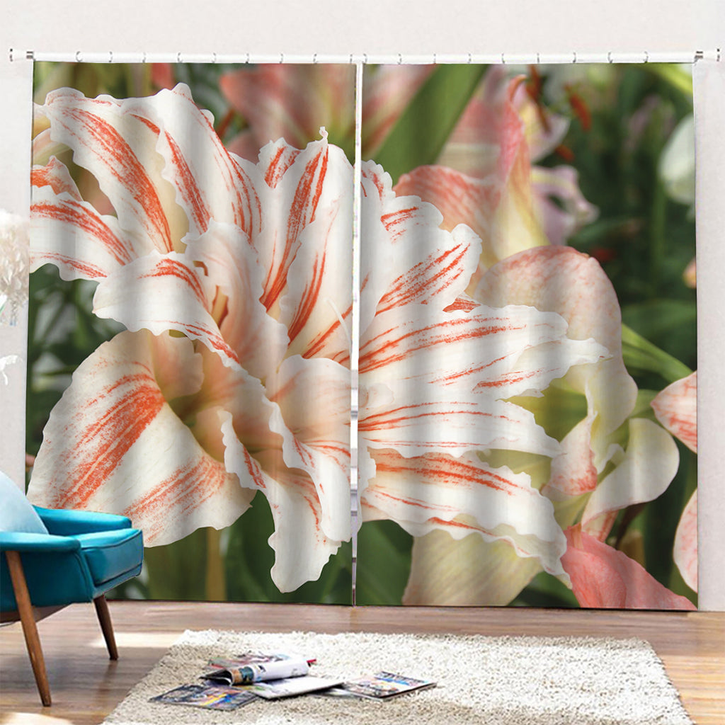 White And Pink Amaryllis Print Pencil Pleat Curtains