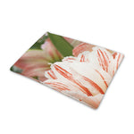 White And Pink Amaryllis Print Pet Cooling Mat Cover
