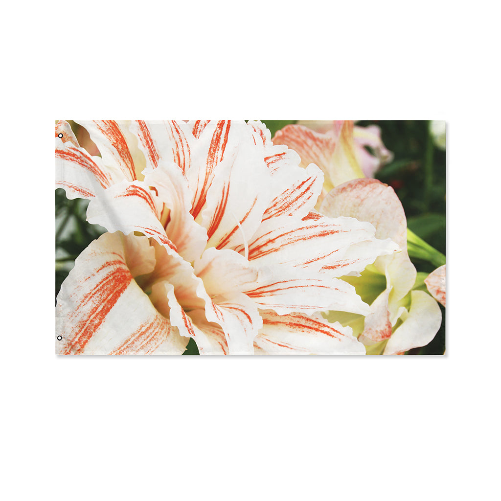White And Pink Amaryllis Print Polyester Flag