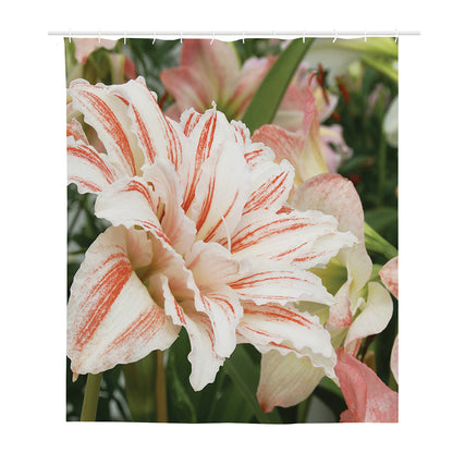 White And Pink Amaryllis Print Polyester Shower Curtain