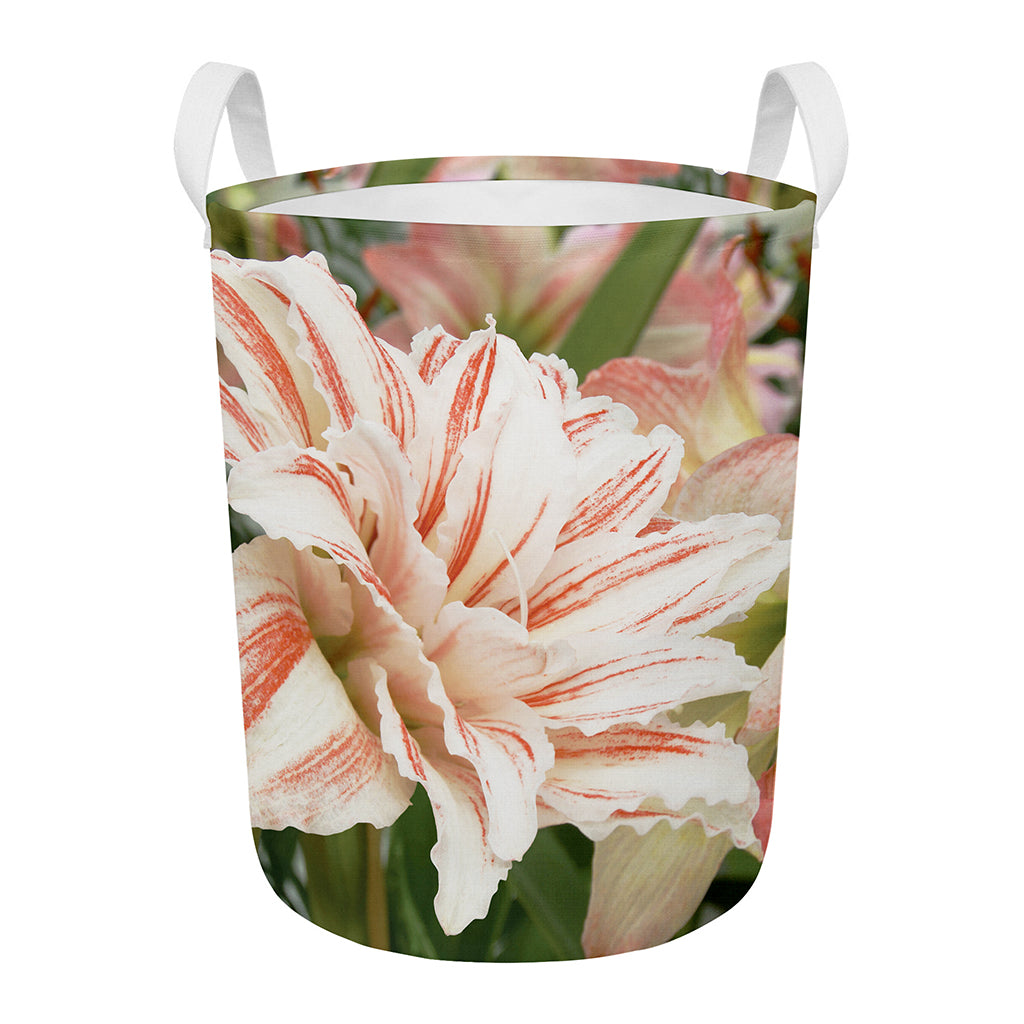 White And Pink Amaryllis Print Round Laundry Basket