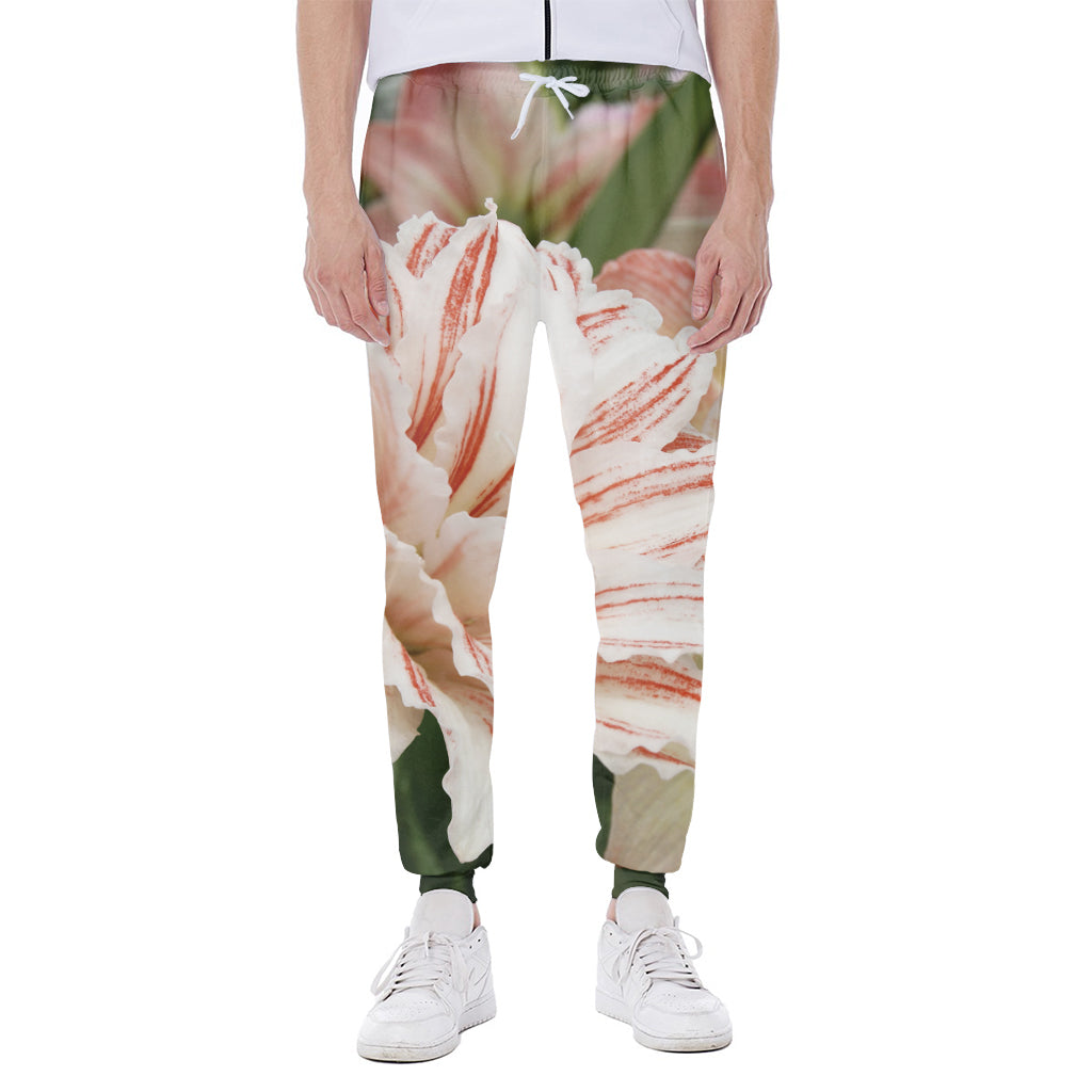 White And Pink Amaryllis Print Scuba Joggers