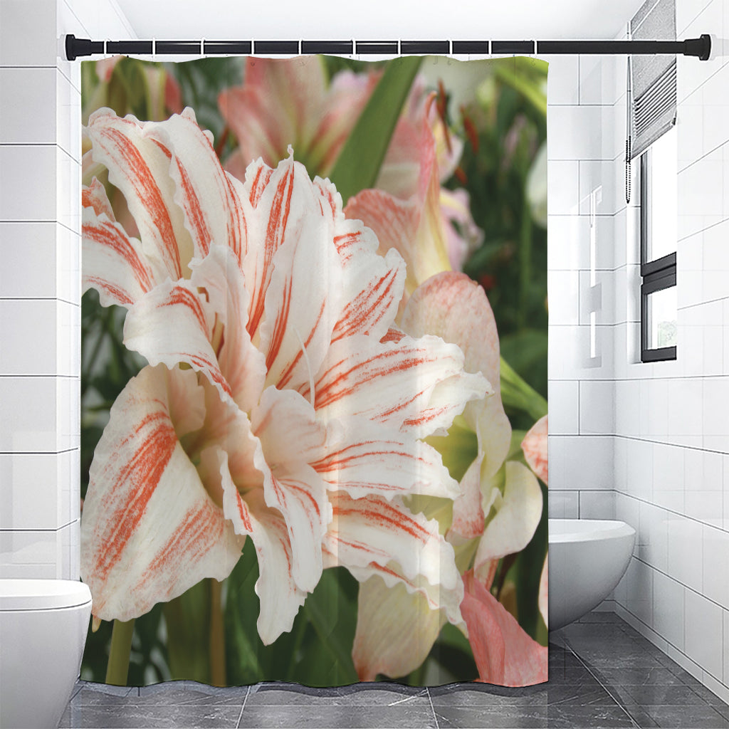 White And Pink Amaryllis Print Shower Curtain