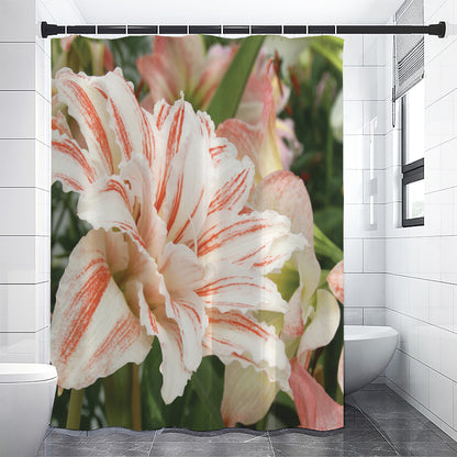 White And Pink Amaryllis Print Shower Curtain