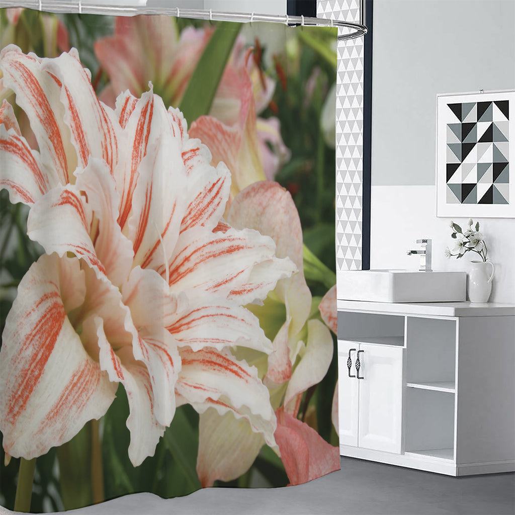 White And Pink Amaryllis Print Shower Curtain