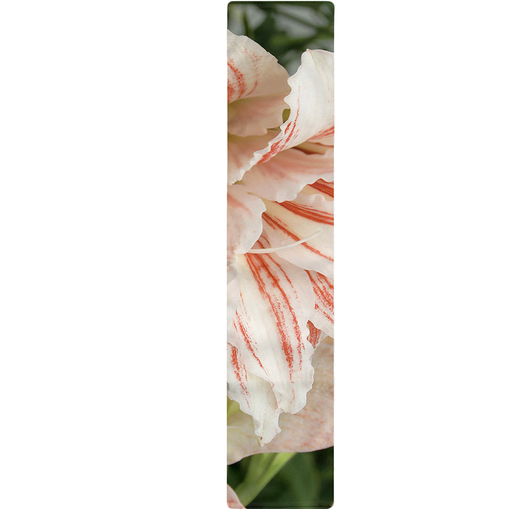 White And Pink Amaryllis Print Table Runner