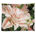 White And Pink Amaryllis Print Tapestry