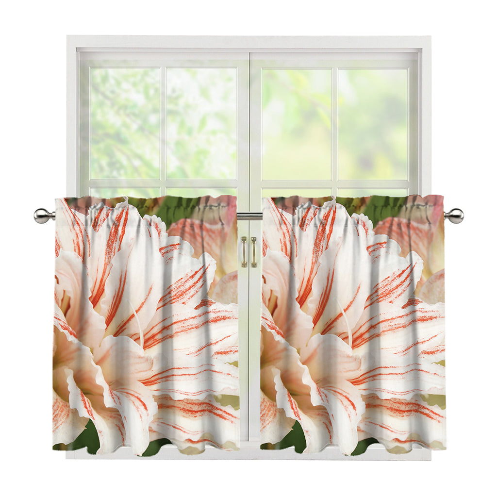 White And Pink Amaryllis Print Tier Curtains