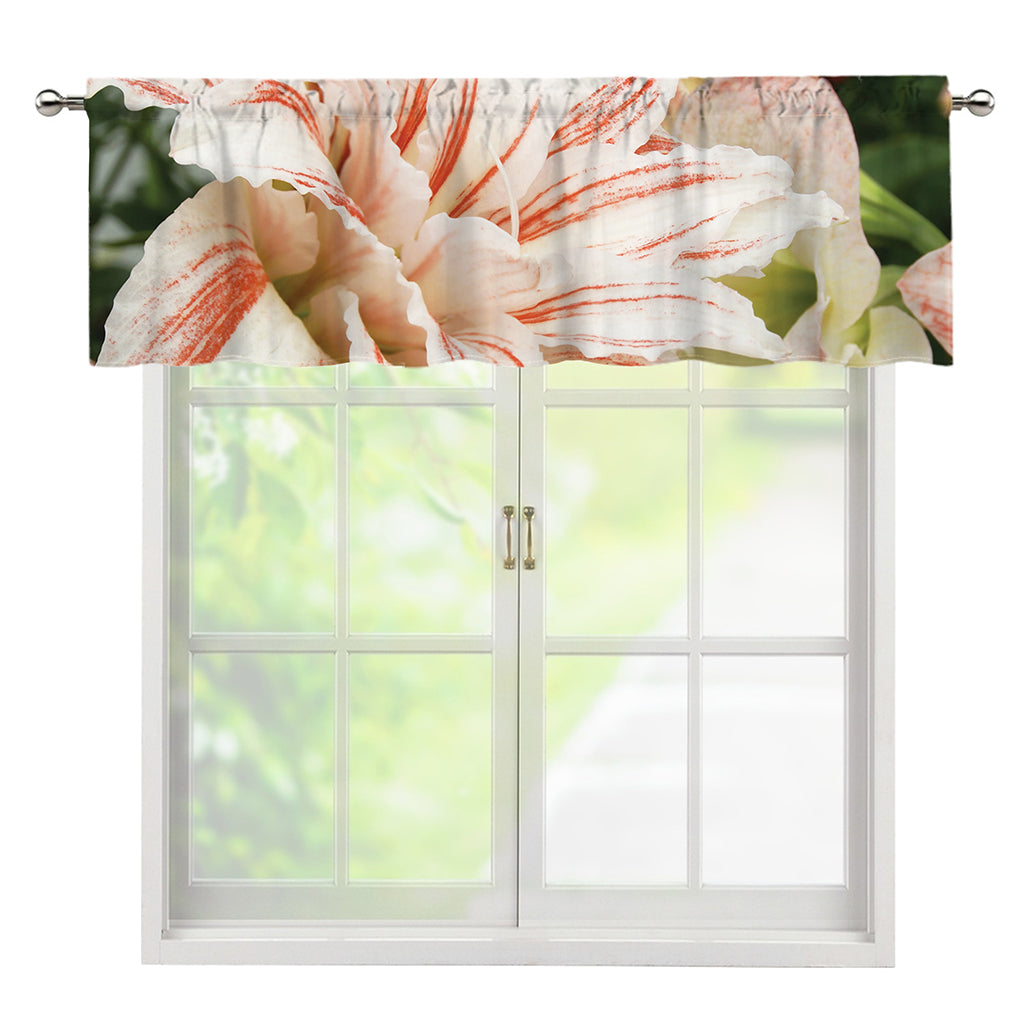 White And Pink Amaryllis Print Window Valance
