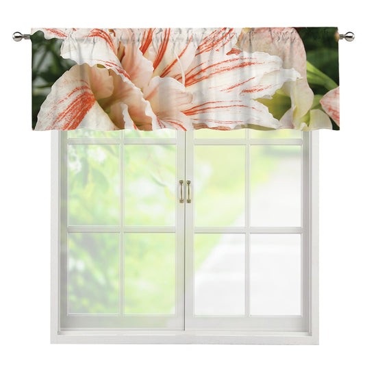 White And Pink Amaryllis Print Window Valance