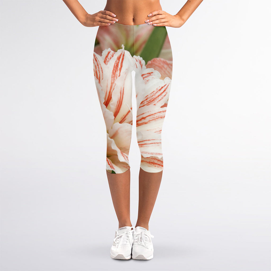 White And Pink Amaryllis Print Women's Capri Leggings