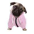 White And Pink Zigzag Pattern Print Dog Zip Up Hoodie