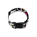 White And Rainbow Leopard Print Dog Collar