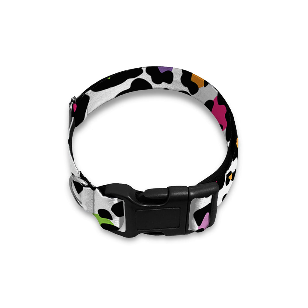 White And Rainbow Leopard Print Dog Collar