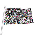 White And Rainbow Leopard Print Flag