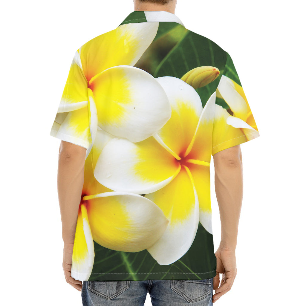 White And Yellow Plumeria Flower Print Aloha Shirt