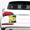 White And Yellow Plumeria Flower Print Car Sticker
