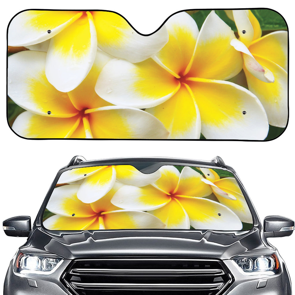 White And Yellow Plumeria Flower Print Car Windshield Sun Shade