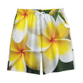 White And Yellow Plumeria Flower Print Cotton Shorts