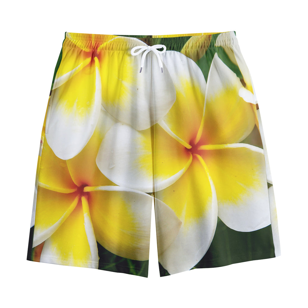 White And Yellow Plumeria Flower Print Cotton Shorts