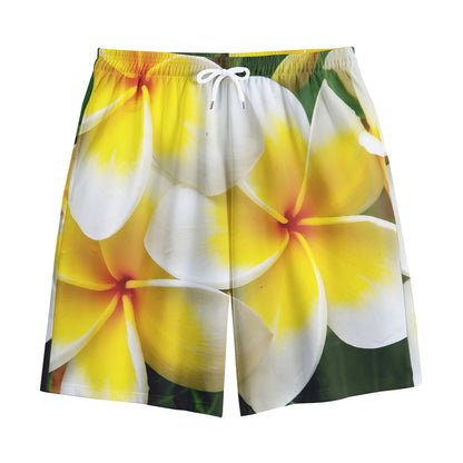 White And Yellow Plumeria Flower Print Cotton Shorts